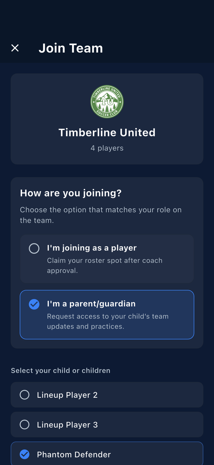A phantom player selected with the Request Team Access button enabled