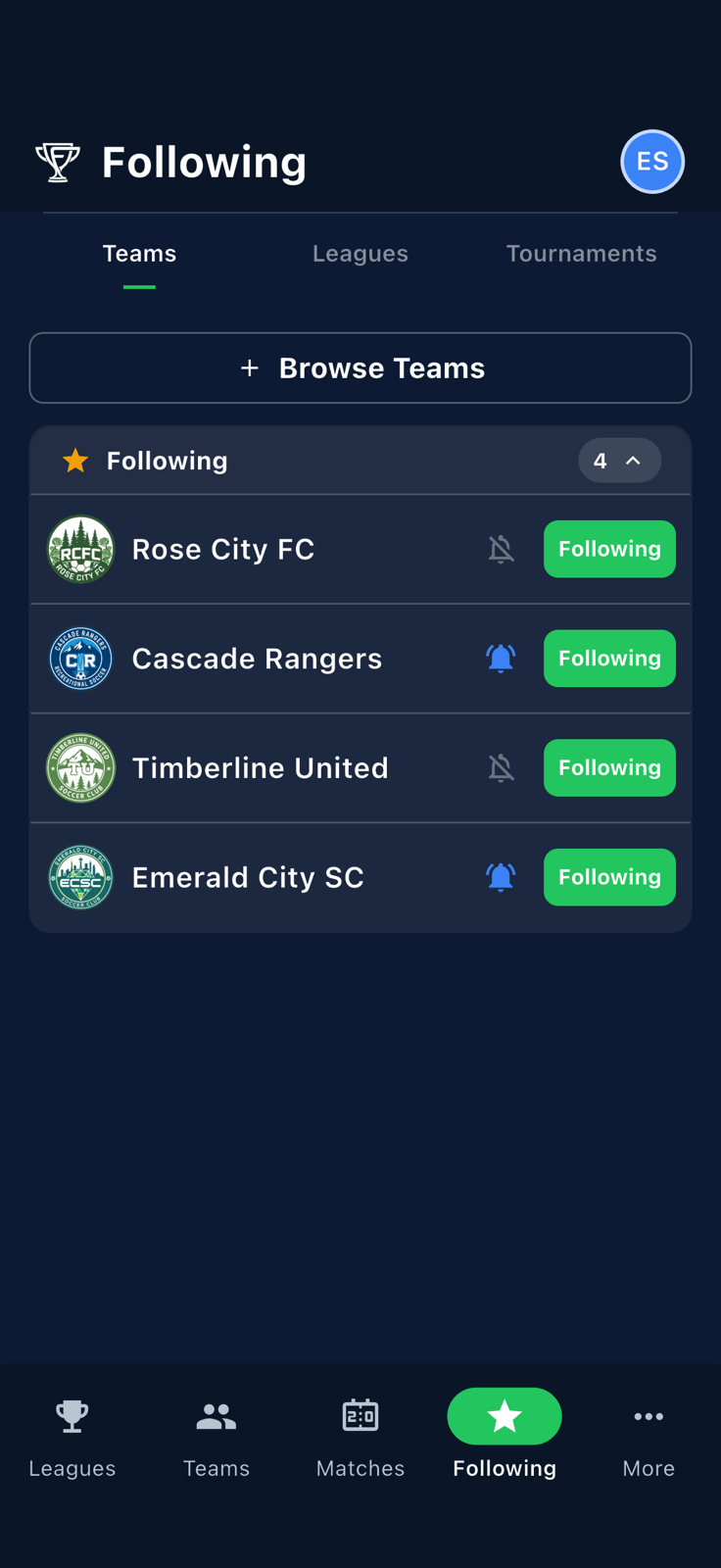 Same Following Teams list after relaunching the app, bell state preserved