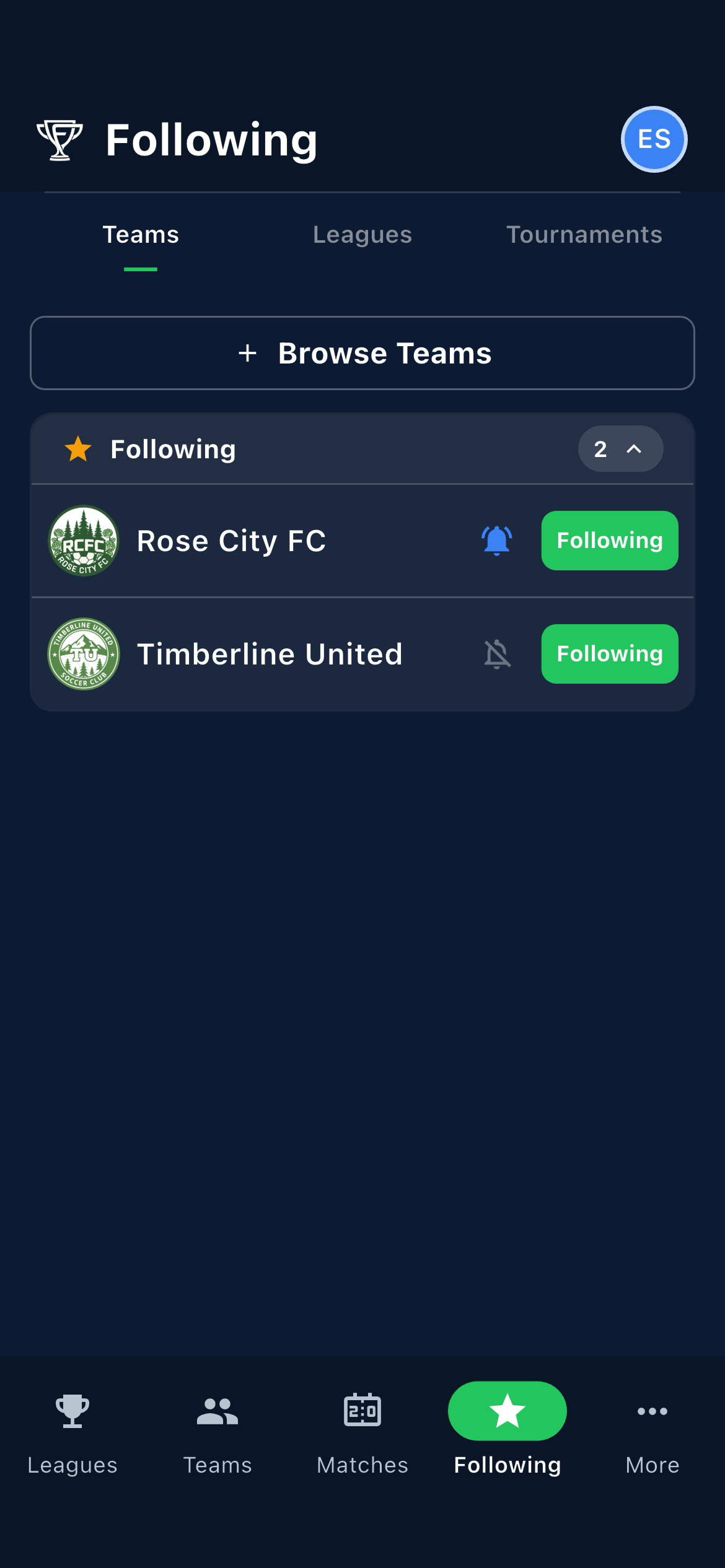 Following tab with favorite teams and leagues